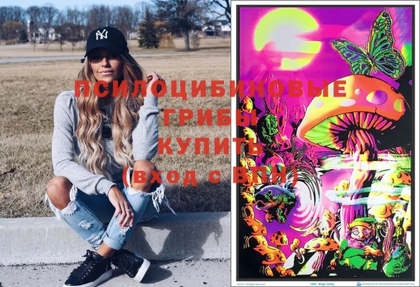 хмурый Белокуриха