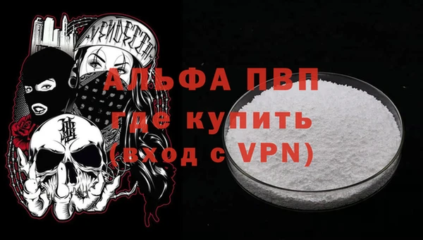 хмурый Белокуриха