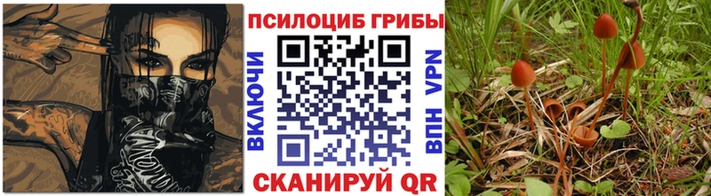 Галлюциногенные грибы Cubensis  Буй 